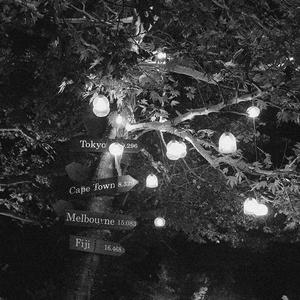 激情五月开心婷婷
